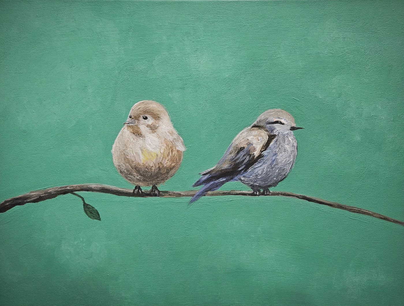 Two small birds on a branch against a teal background